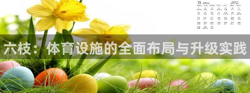 意昂4娱乐首页官网下载：六枝：体育设施的全面布局与升