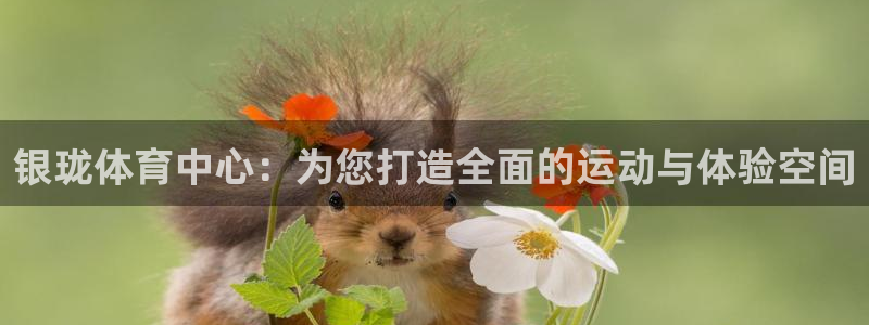 意昂体育4开户：银珑体育中心：为您打造全面的运动与体