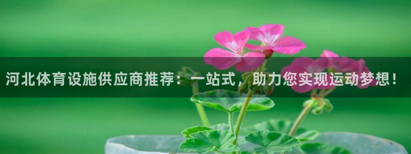 意昂4娱乐是那个系列的台子：河北体育设施供应商推荐：