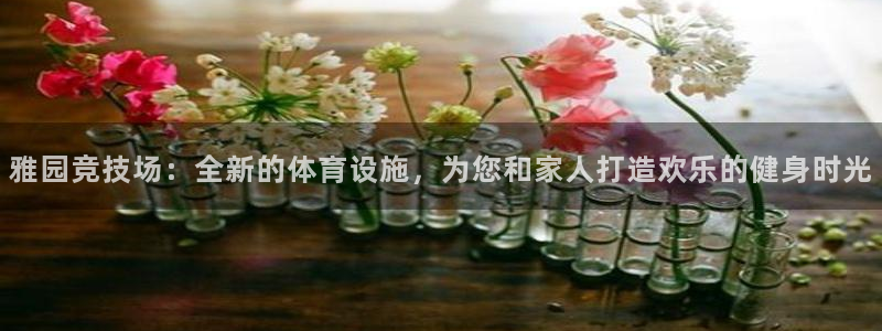 意昂4集团官网首页：雅园竞技场：全新的体育设施，为您