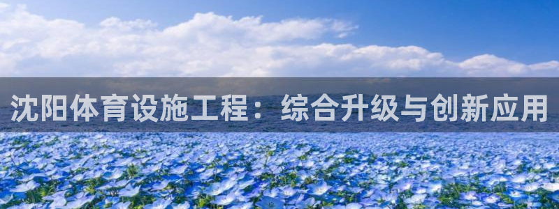 意昂4娱乐首页官网下载：沈阳体育设施工程：综合升级与