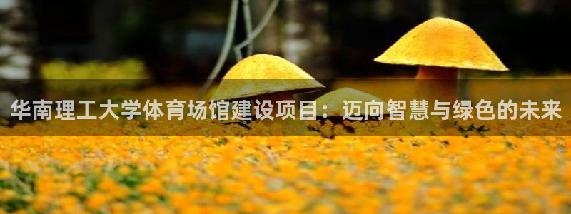 意昂体育4软件：华南理工大学体育场馆建设项目：迈向智