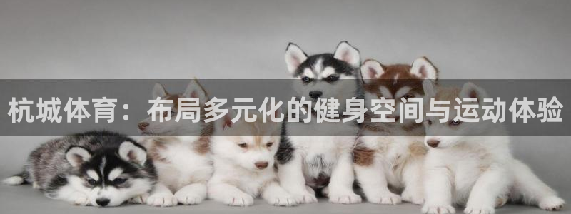 意昂平台体育：杭城体育：布局多元化的健身空间与运动体