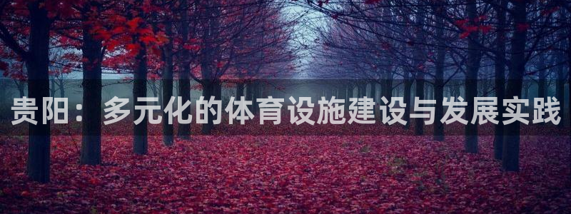 意昂体育4平台注册要钱吗是真的吗：贵阳：多元化的体育