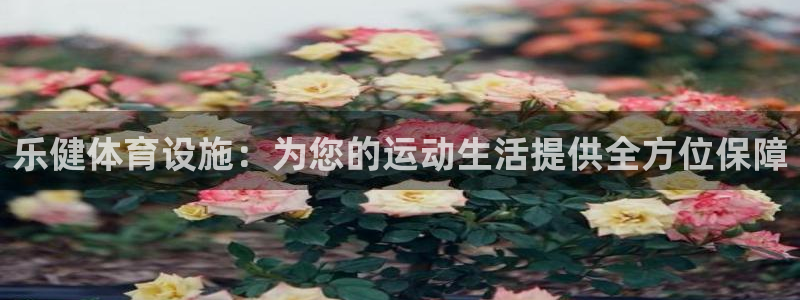 意昂体育4软件：乐健体育设施：为您的运动生活提供全方