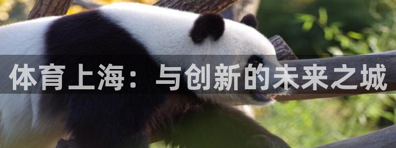 德国意昂4集团：体育上海：与创新的未来之城
