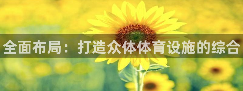 意昂4集团logo：全面布局：打造众体体育设施的综合