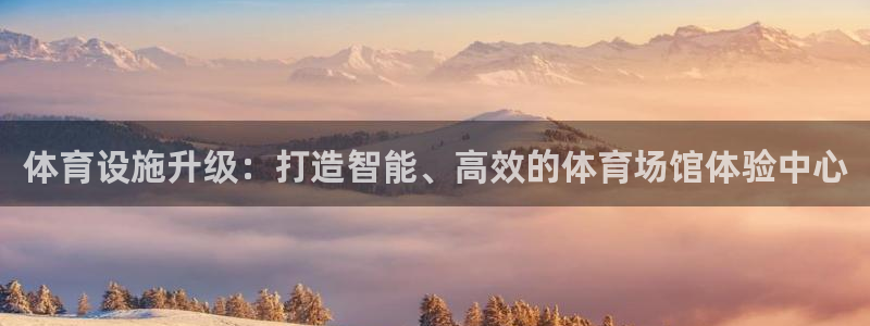 意昂4集团E.ON：体育设施升级：打造智能、高效的体