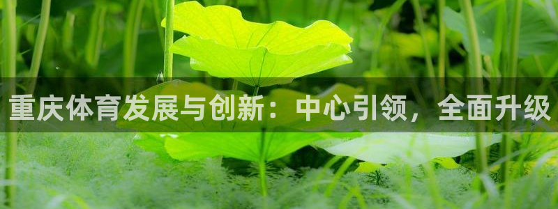 意昂4集团E.ON：重庆体育发展与创新：中心引领，全