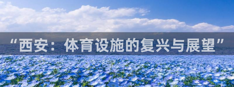 意昂体育4平台注册要钱吗安全吗：“西安：体育设施的复