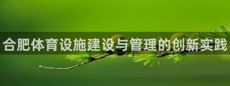 意昂4集团官网网址：合肥体育设施建设与管理的创新实践