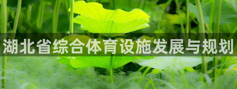 意昂体育4是干嘛的公司：湖北省综合体育设施发展与规划