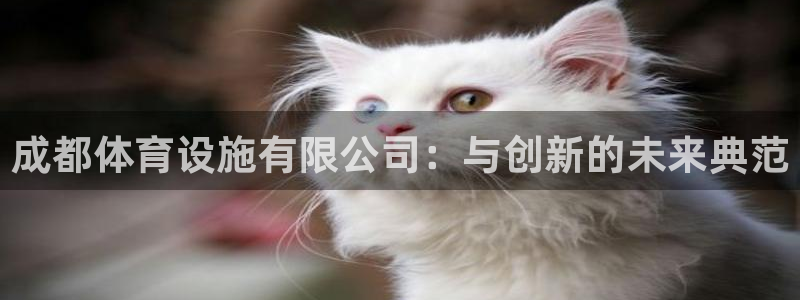 意昂体育4软件：成都体育设施有限公司：与创新的未来典