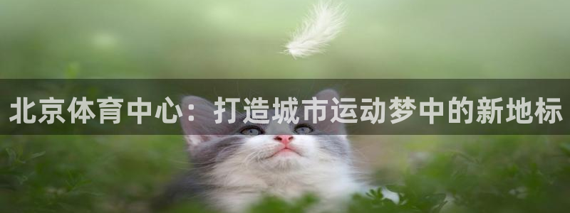 意昂4开户：北京体育中心：打造城市运动梦中的新地标