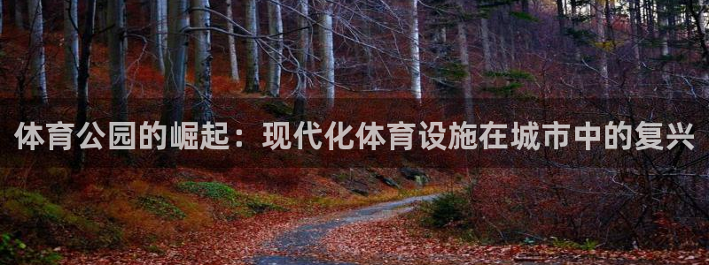 意昂体育4开户：体育公园的崛起：现代化体育设施在城市
