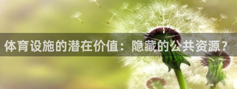 意昂4集团E.ON：体育设施的潜在价值：隐藏的公共资