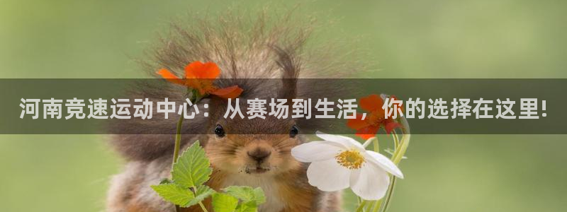 意昂4五金厂：河南竞速运动中心：从赛场到生活，你的选