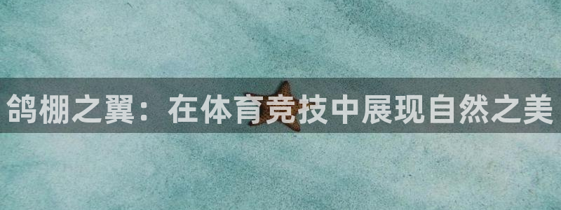 意昂体育4娱乐：鸽棚之翼：在体育竞技中展现自然之美