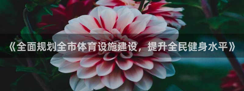 意昂体育4平台APP：《全面规划全市体育设施建设，提