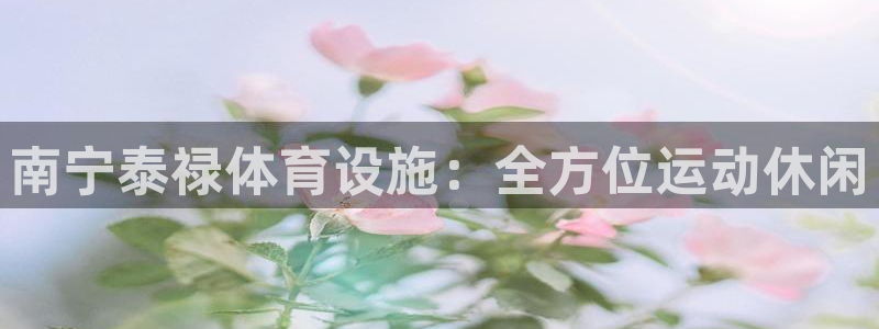 意昂4娱乐是那个系列的台子：南宁泰禄体育设施：全方位