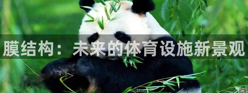 意昂体育4软件：膜结构：未来的体育设施新景观