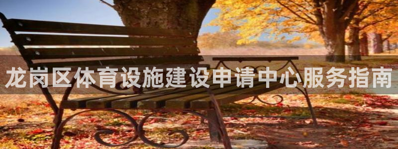 意昂4代理：龙岗区体育设施建设申请中心服务指南