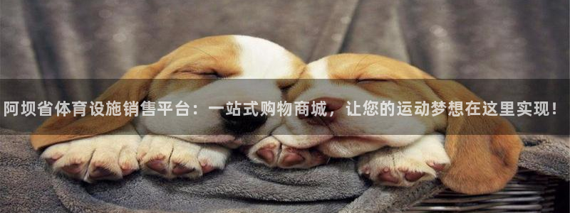 意昂体育4平台APP：阿坝省体育设施销售平台：一站式