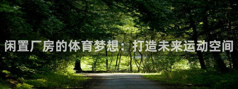 意昂体育4娱乐：闲置厂房的体育梦想：打造未来运动空间