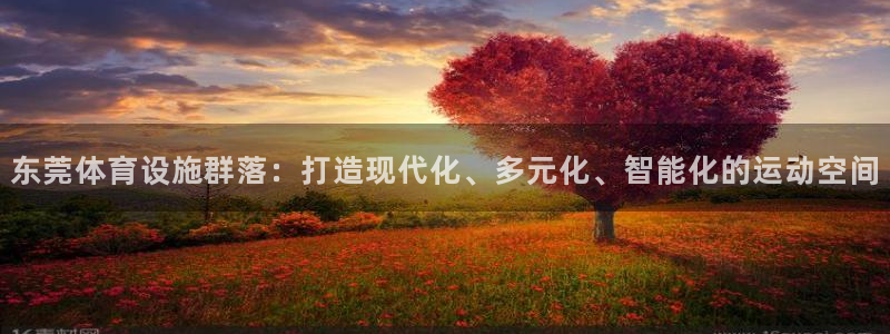 意昂集团官网：东莞体育设施群落：打造现代化、多元化、