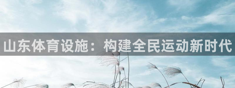 意昂4集团简介：山东体育设施：构建全民运动新时代
