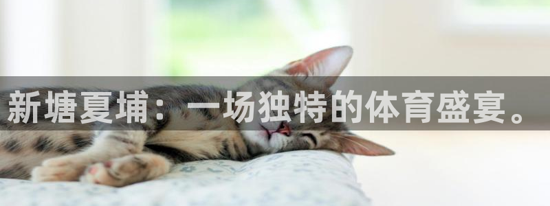 意昂4娱乐首页网站大全：新塘夏埔：一场独特的体育盛宴