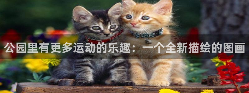 意昂体育4：公园里有更多运动的乐趣：一个全新描绘的图