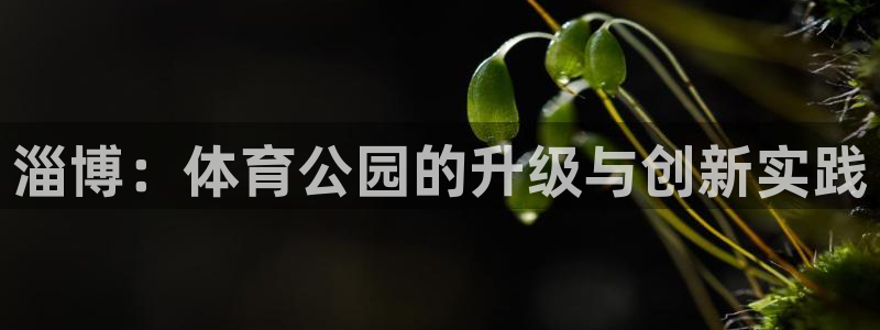 意昂体育4招商电话号码查询：淄博：体育公园的升级与创