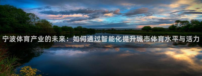 意昂体育4是干嘛的公司：宁波体育产业的未来：如何通过