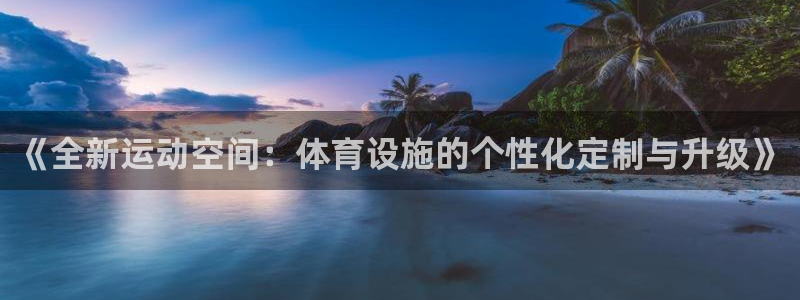 意昂体育4软件：《全新运动空间：体育设施的个性化定制