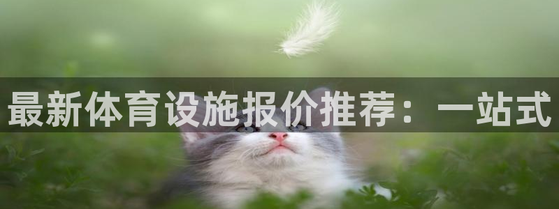 意昂体育4招商电话地址是多少：最新体育设施报价推荐：