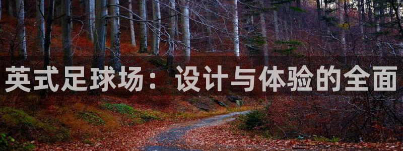 意昂体育4平台是正规平台吗安全吗：英式足球场：设计与