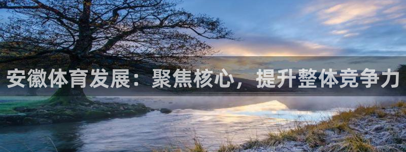 意昂体育4平台注册流程图：安徽体育发展：聚焦核心，提