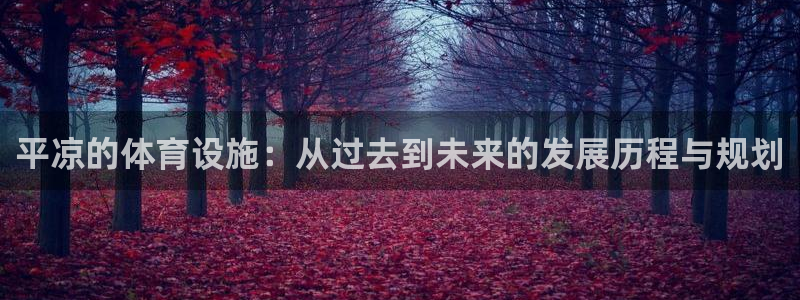 意昂4娱乐40996：平凉的体育设施：从过去到未来的