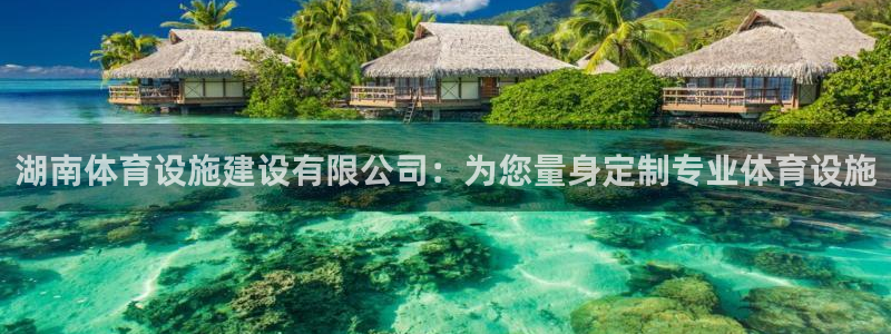 意昂4开户：湖南体育设施建设有限公司：为您量身定制专