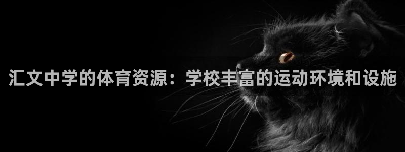意昂4神州：汇文中学的体育资源：学校丰富的运动环境和