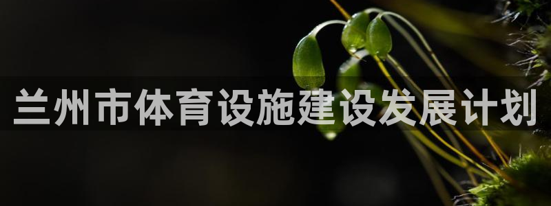 意昂4娱乐首页官网下载：兰州市体育设施建设发展计划