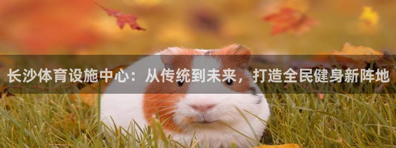 意昂4官网：长沙体育设施中心：从传统到未来，打造全民