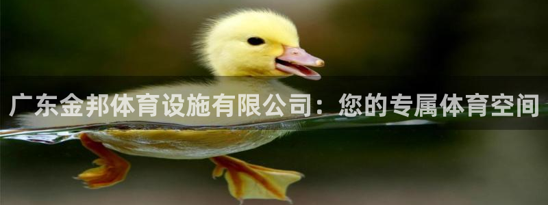 意昂4娱乐平台：广东金邦体育设施有限公司：您的专属体
