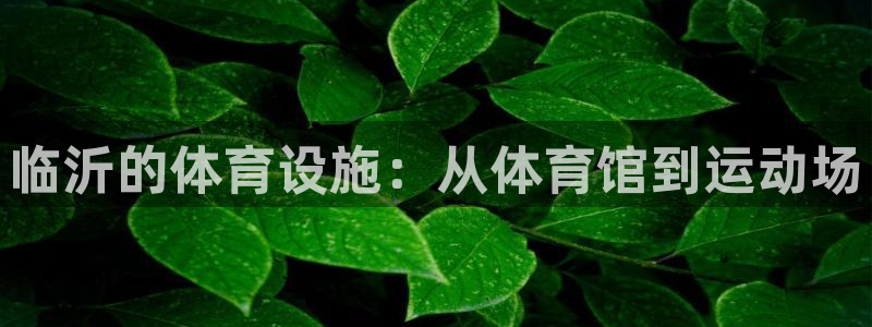 意昂4官方：临沂的体育设施：从体育馆到运动场