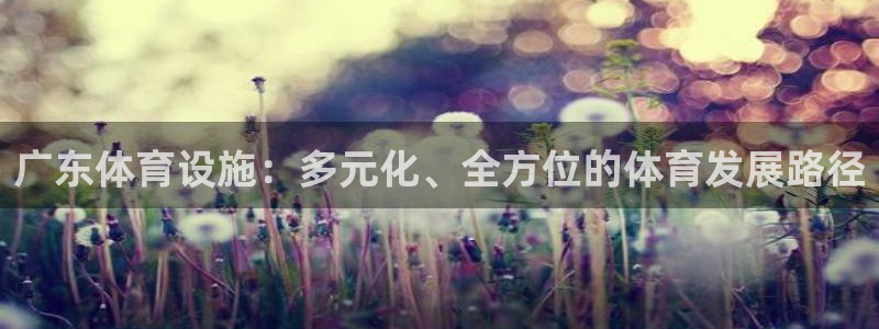 意昂体育4平台是正规平台吗知乎：广东体育设施：多元化
