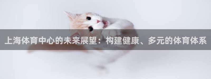 意昂体育4平台是正规平台吗知乎：上海体育中心的未来展