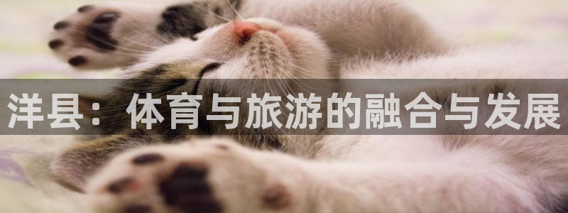 意昂体育4招商电话地址是多少：洋县：体育与旅游的融合与发展