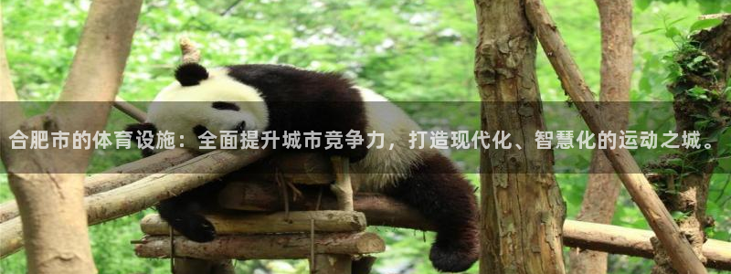 意昂体育4平台注册流程视频：合肥市的体育设施：全面提升城市竞 